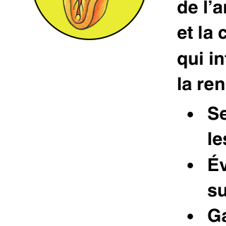 Pictogrammes du public visé par AnonymCard.