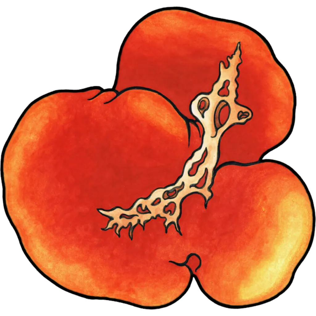 Reproduction sur toile